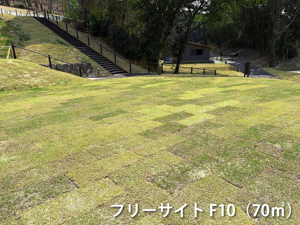 フリーサイトF10の画像