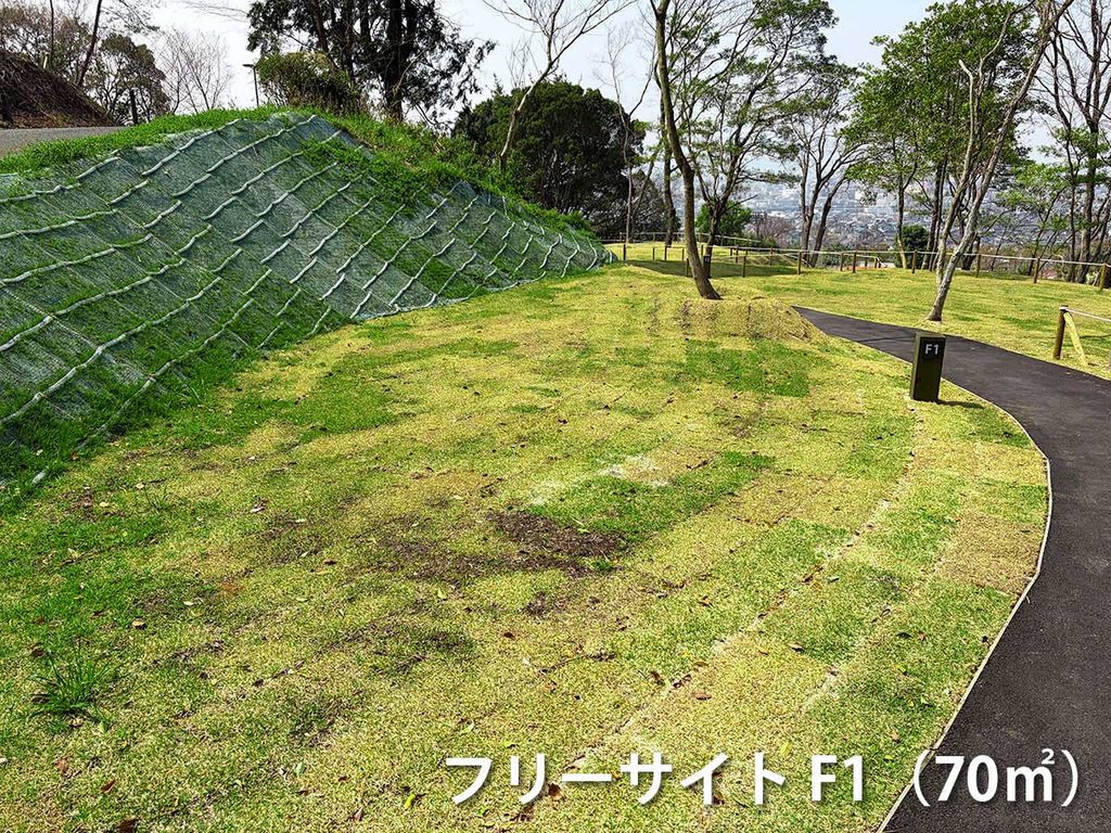 フリーサイトF1の画像