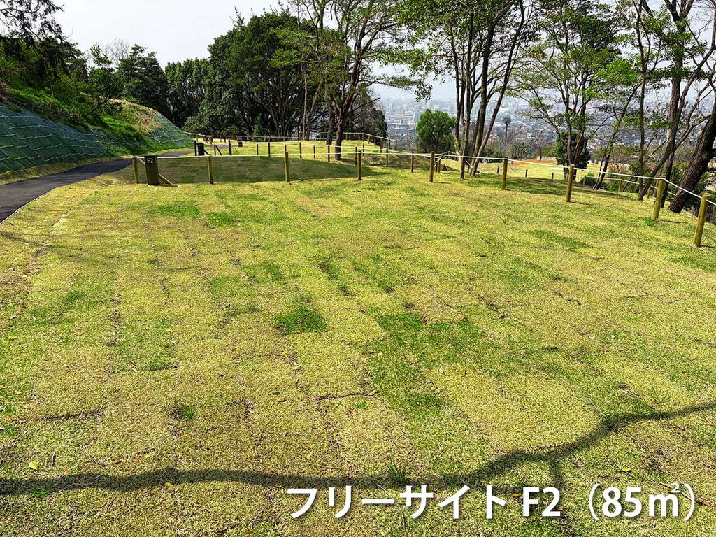 フリーサイトF2の画像
