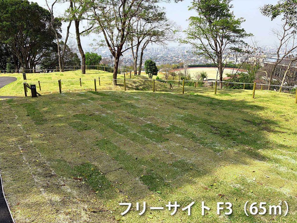 フリーサイトF3の画像