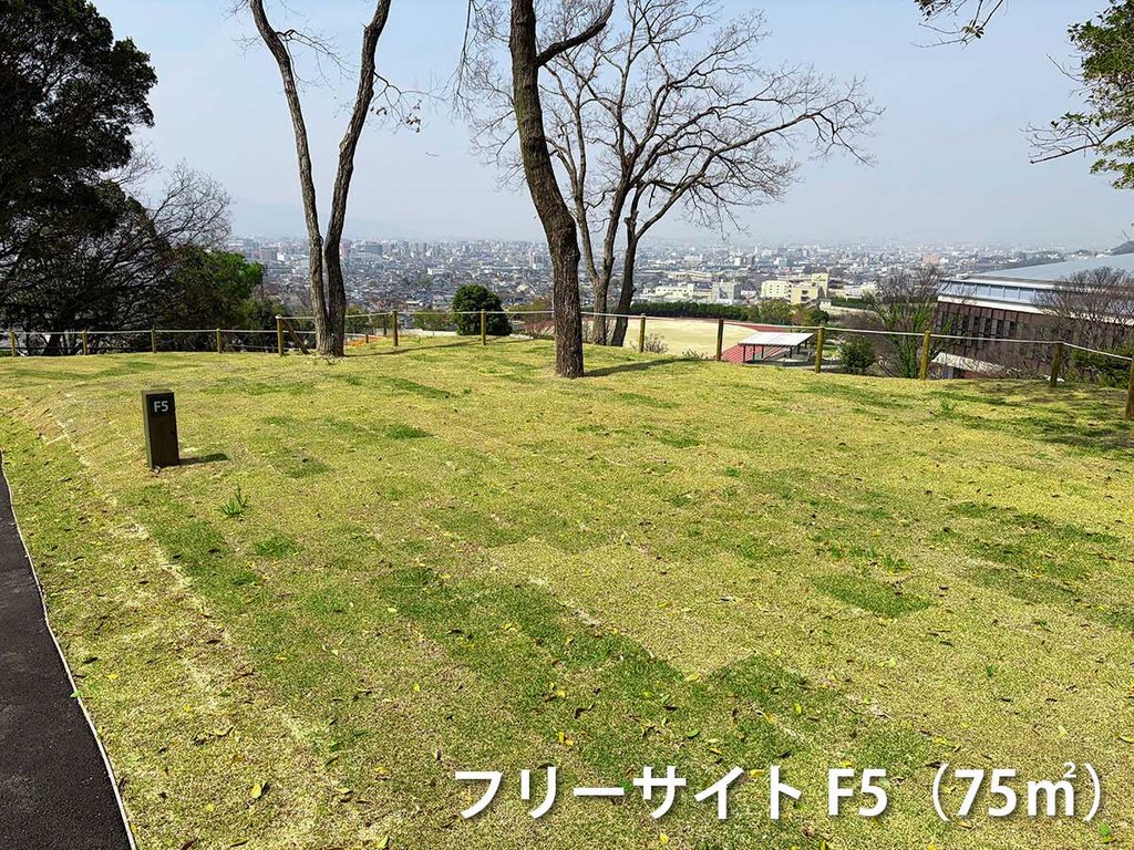 フリーサイトF5の画像