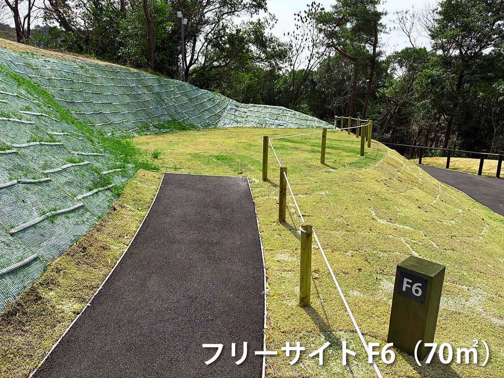 フリーサイトF6の画像