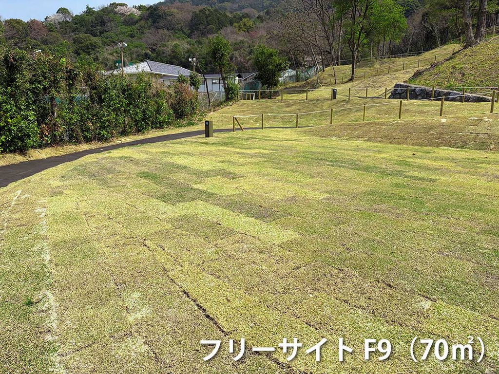 フリーサイトF9の画像